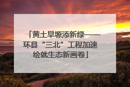 黄土旱塬添新绿——环县“三北”工程加速绘就生态新画卷