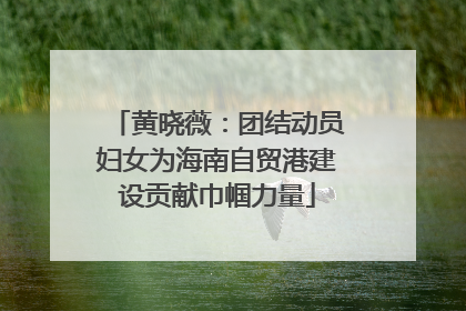 黄晓薇：团结动员妇女为海南自贸港建设贡献巾帼力量