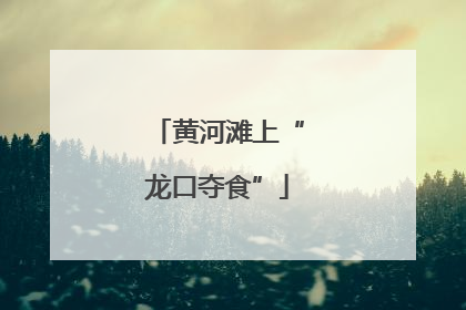 黄河滩上“龙口夺食”