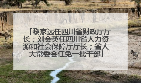 黎家远任四川省财政厅厅长；刘会英任四川省人力资源和社会保障厅厅长；省人大常委会任免一批干部