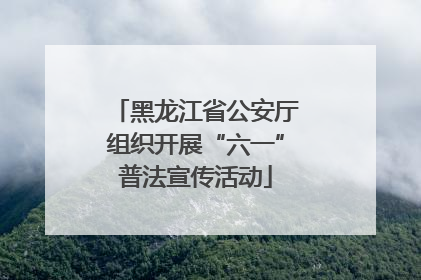 黑龙江省公安厅组织开展“六一”普法宣传活动