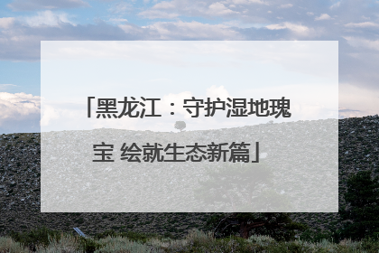 黑龙江：守护湿地瑰宝 绘就生态新篇