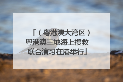 （粤港澳大湾区）粤港澳三地海上搜救联合演习在港举行