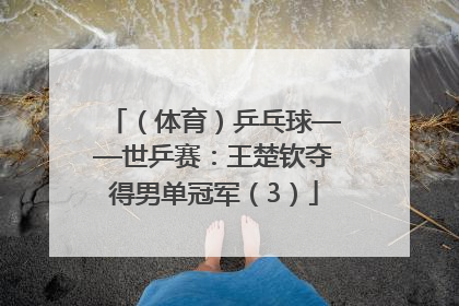 （体育）乒乓球——世乒赛：王楚钦夺得男单冠军（3）