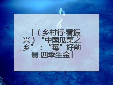 （乡村行·看振兴）“中国瓜菜之乡”：“莓”好前景 四季生金