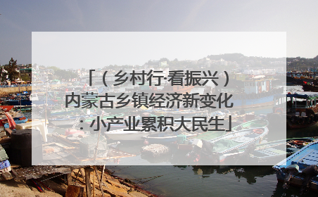 （乡村行·看振兴）内蒙古乡镇经济新变化：小产业累积大民生