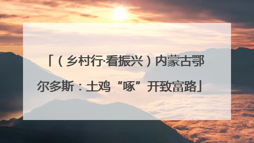 （乡村行·看振兴）内蒙古鄂尔多斯：土鸡“啄”开致富路