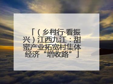 （乡村行·看振兴）江西九江：甜蜜产业拓宽村集体经济“增收路”