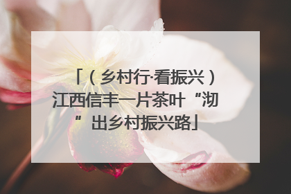 （乡村行·看振兴）江西信丰一片茶叶“沏”出乡村振兴路