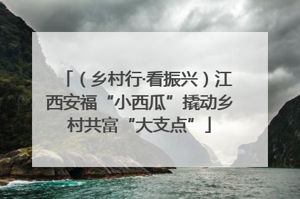 （乡村行·看振兴）江西安福“小西瓜”撬动乡村共富“大支点”