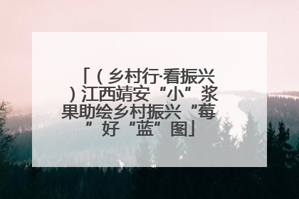 （乡村行·看振兴）江西靖安“小”浆果助绘乡村振兴“莓”好“蓝”图