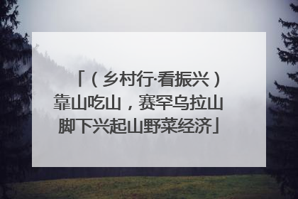 （乡村行·看振兴）靠山吃山，赛罕乌拉山脚下兴起山野菜经济