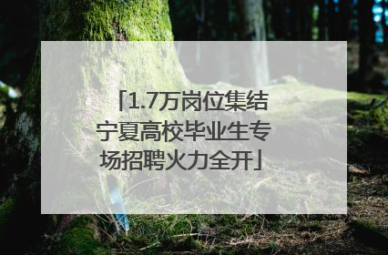 1.7万岗位集结 宁夏高校毕业生专场招聘火力全开