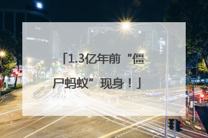 1.3亿年前“僵尸蚂蚁”现身！