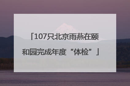 107只北京雨燕在颐和园完成年度“体检”