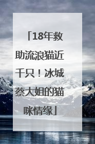18年救助流浪猫近千只！冰城蔡大姐的猫咪情缘