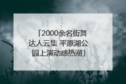 2000余名街舞达人云集 平原湖公园上演动感热潮