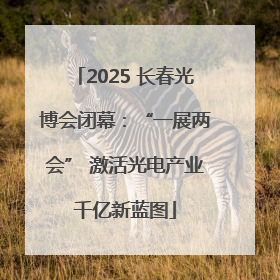 2025 长春光博会闭幕：“一展两会” 激活光电产业千亿新蓝图