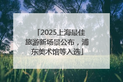 2025上海最佳旅游新场景公布，浦东美术馆等入选