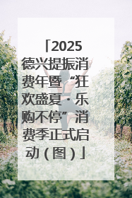 2025德兴提振消费年暨“狂欢盛夏・乐购不停”消费季正式启动（图）