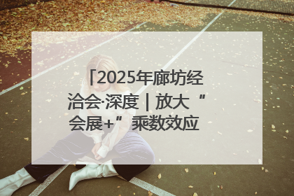2025年廊坊经洽会·深度｜放大“会展+”乘数效应 打造消费新场景