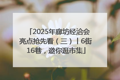 2025年廊坊经洽会亮点抢先看（三）丨6街16巷，邀你逛市集