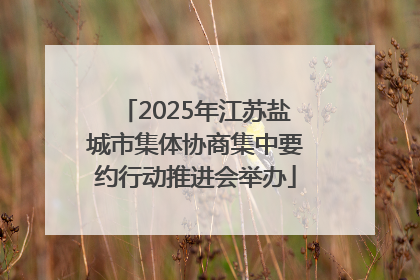 2025年江苏盐城市集体协商集中要约行动推进会举办