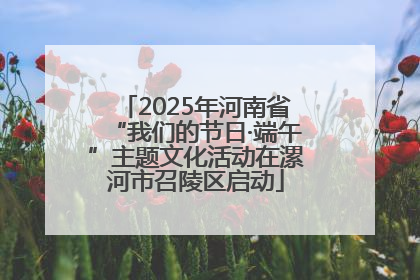 2025年河南省“我们的节日·端午”主题文化活动在漯河市召陵区启动