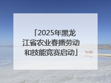 2025年黑龙江省农业春播劳动和技能竞赛启动