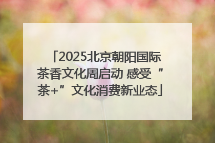 2025北京朝阳国际茶香文化周启动 感受“茶+”文化消费新业态