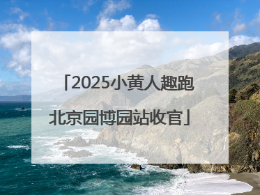 2025小黄人趣跑北京园博园站收官