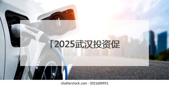 2025武汉投资促进大会开幕 现场签约金额984.9亿元
