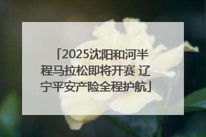 2025沈阳和河半程马拉松即将开赛 辽宁平安产险全程护航