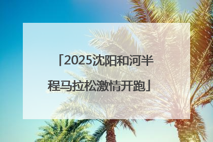 2025沈阳和河半程马拉松激情开跑