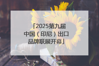2025第九届中国（印尼）出口品牌联展开幕