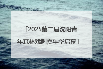 2025第二届沈阳青年森林戏剧嘉年华启幕