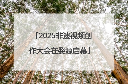 2025非遗视频创作大会在婺源启幕