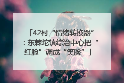 42村“情绪转换器”：东棘坨镇综治中心把“红脸”调成“笑脸”