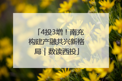 4投3增！南充构建产融共兴新格局｜数读西投