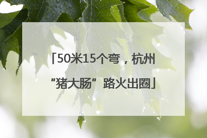 50米15个弯，杭州“猪大肠”路火出圈