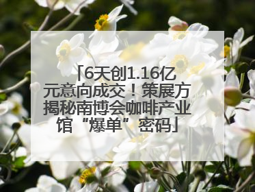 6天创1.16亿元意向成交！策展方揭秘南博会咖啡产业馆“爆单”密码