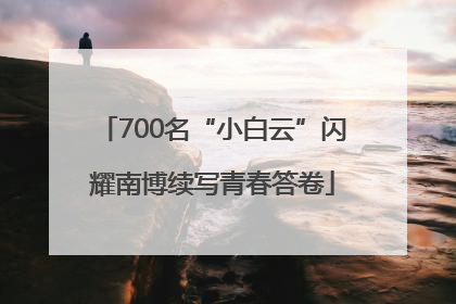 700名“小白云”闪耀南博续写青春答卷