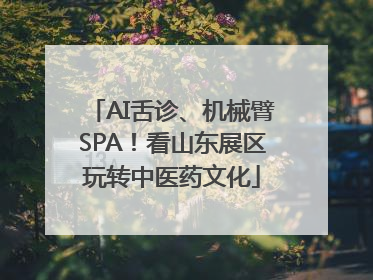 AI舌诊、机械臂SPA！看山东展区玩转中医药文化