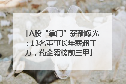 A股“掌门”薪酬曝光：13名董事长年薪超千万，药企霸榜前三甲