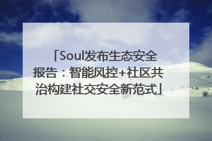 Soul发布生态安全报告：智能风控+社区共治构建社交安全新范式